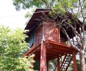 Dambulla Tree House