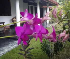 Dasuni villa