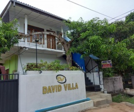 David Villa