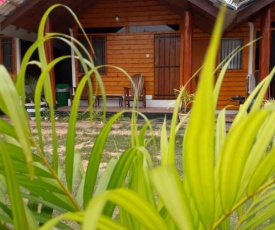 Dot's Bey Beach Cabana