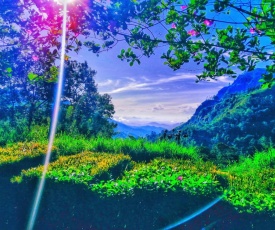 Ella Happy View