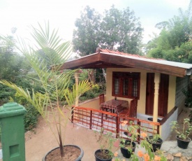 Ella J Villa