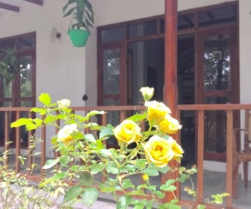 Ella nature nest