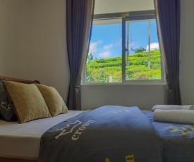 Flamingo's Nuwara Eliya