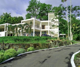 Akoya Pearl