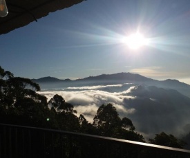 Golden View Guest