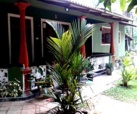 Green Bamboo House