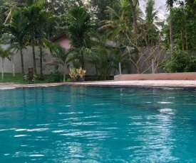 Green Eco Villa