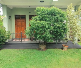 Green Garden