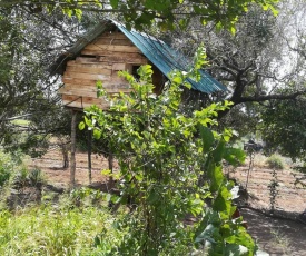 Habarana Eco Treehouse