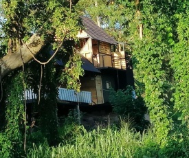 hornbill river camp