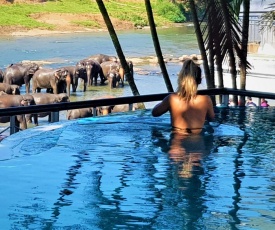Hotel Elephant Park "Grand Royal Pinnalanda"
