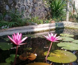 Hotel Paradiso,