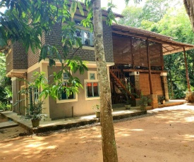 Jungle House