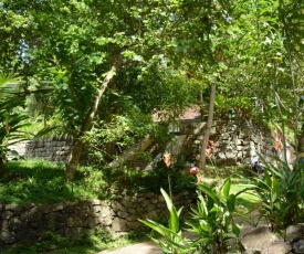 Jungle House