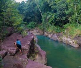 Jungle River