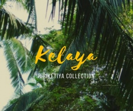 Kelaya at Hiriketiya Collection