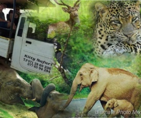 Kitty Safari Family Bungalow & SPA
