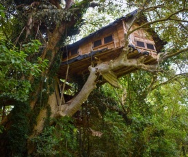 Kumbuk Tree House