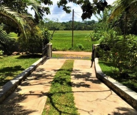 Lucky Sevana
