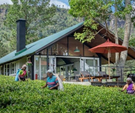 Madulkelle Tea and Eco Lodge