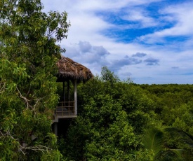Mermaid Cabana and Tree Houses