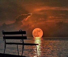 Moon Light Guest House