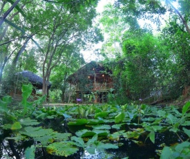 Mutu Village treehouse tourist board approved bungalow