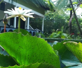 Natural View Home