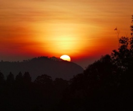 Nice View Homestay