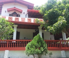 PaddyView villa