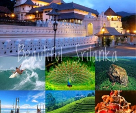 Paradise Ocean Homestay