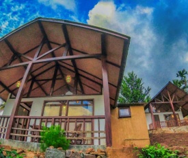 Rainforest Mount Lodge