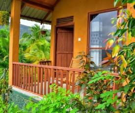 Rainforest Nature House