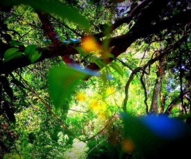 Samadhi Nature Resort