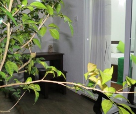 Senomaal Sigiri Resort