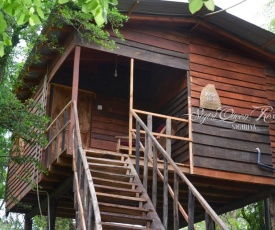 Sigiri Queens Guest House