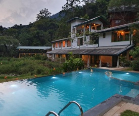 Sinharaja Forest Edge