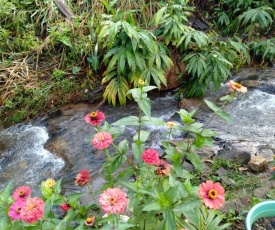 Stream Holiday Home