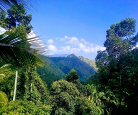 Sunburst view