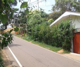 Sunflower Tourist Rest
