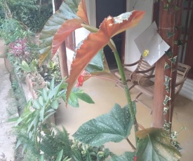 Supipi Homestay