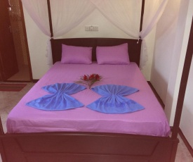 Suren Guest House