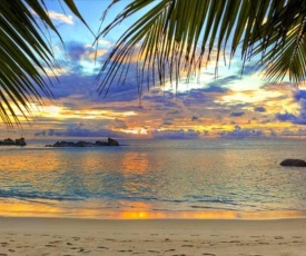 Surf Lodge