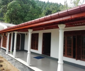 Tea Garden Diyatalawa
