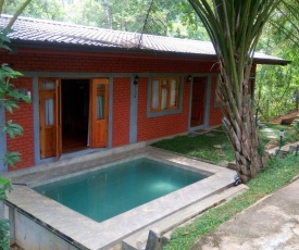Tea Leaf Retreat