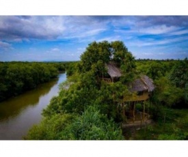 The Alpha Monkey Tree House