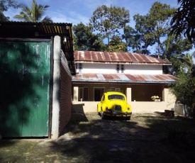 The cottage amongst pepper vines