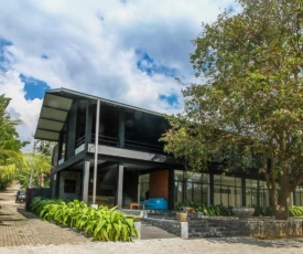 The Domain
