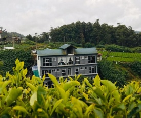 The Mount Camellia